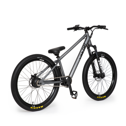 VANDAL electric bike with lightweight chromoly frame, hidden battery, and optional extended range battery for city and off-road riding.